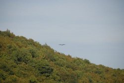 Am Edersee (64)
